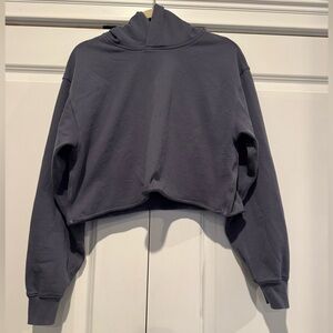 Aritzia Crop Sweatfleece Hoodie